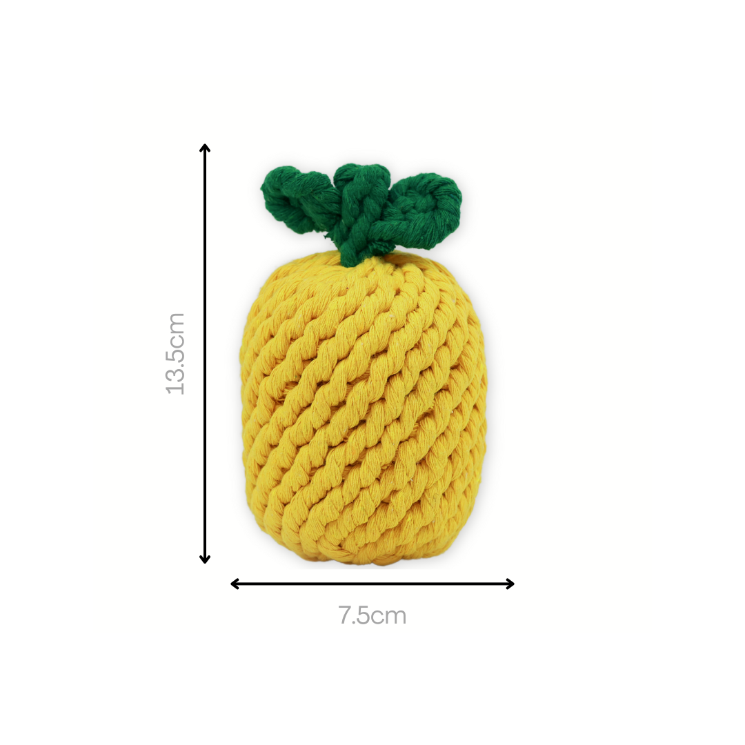 Monli Large Pineapple Rope Toy