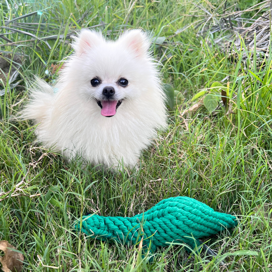 Rex the Green Dinosaur Rope Toy
