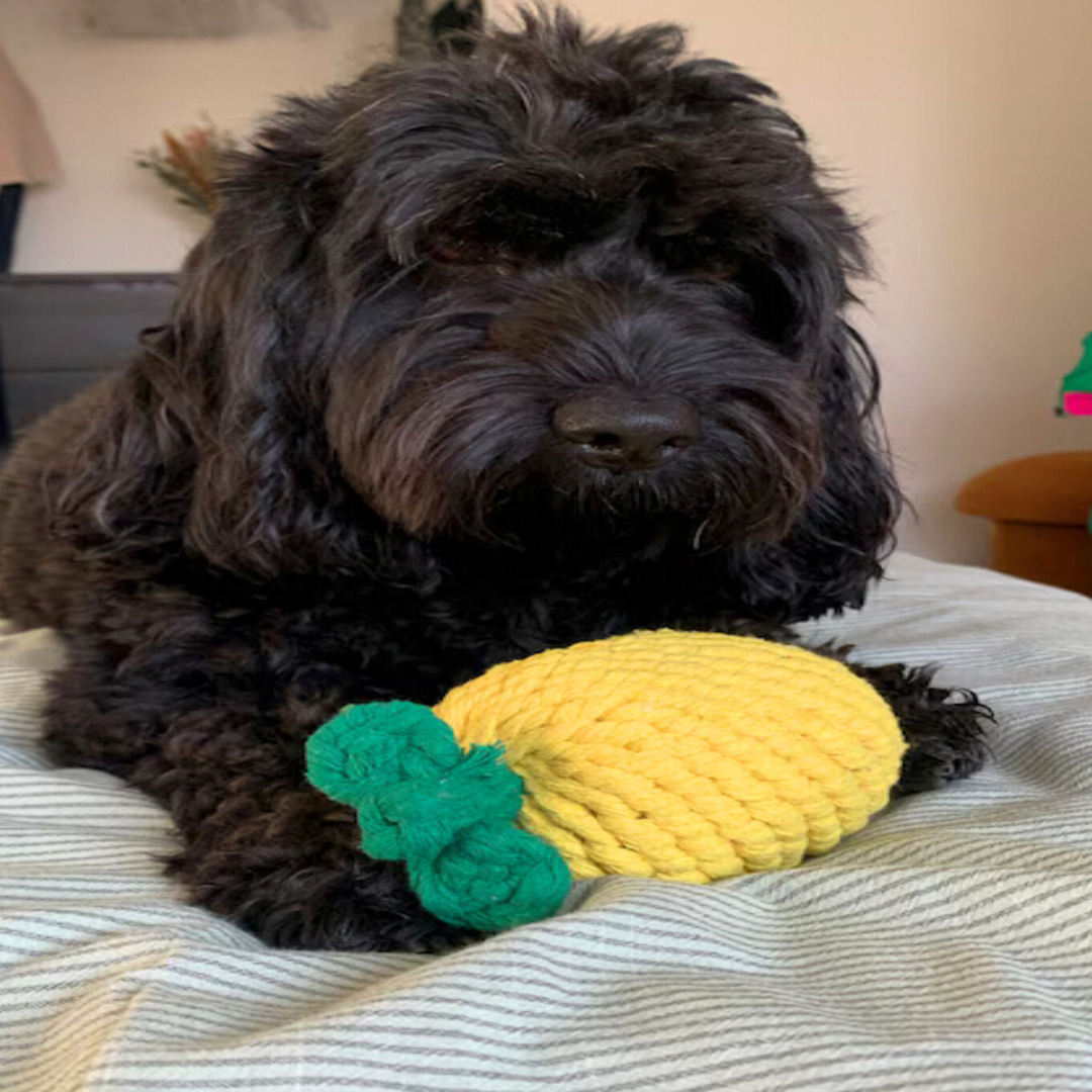 Monli Large Pineapple Rope Toy