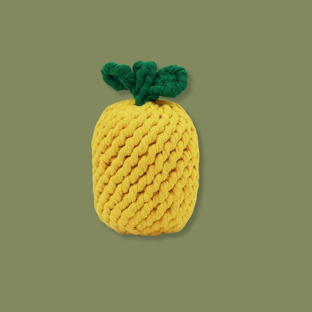 Monli Large Pineapple Rope Toy