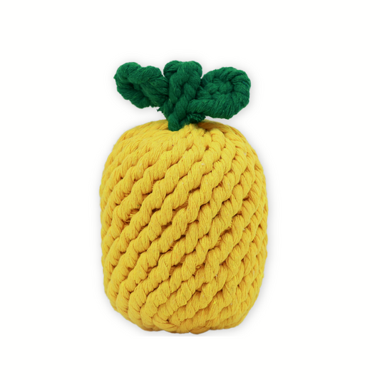 Monli Large Pineapple Rope Toy